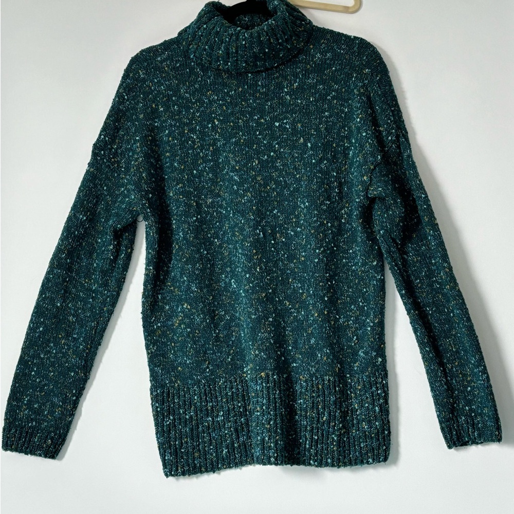 J Jill warmest ever green sweater